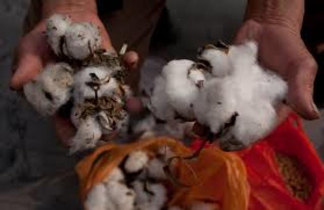 granja las brisas ut