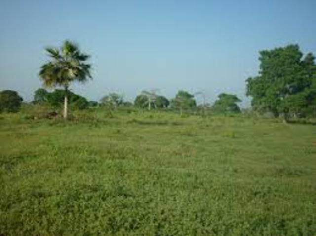 granla las brisas ut