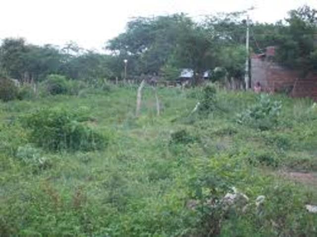 granja las brisas ut