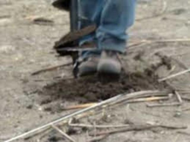 granja universidad tolima las brisas