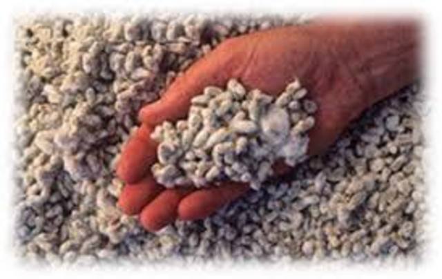 granja universidad del tolima las brisas