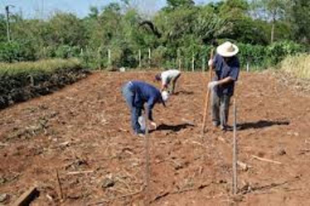 granja universidad del tolima las brisas