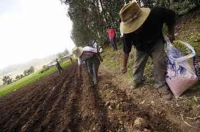 granja universidad del tolima las brisas