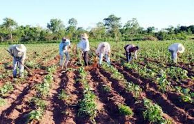 granja universidad del tolima las brisas