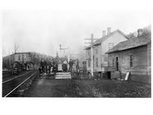 Settlement organ bound