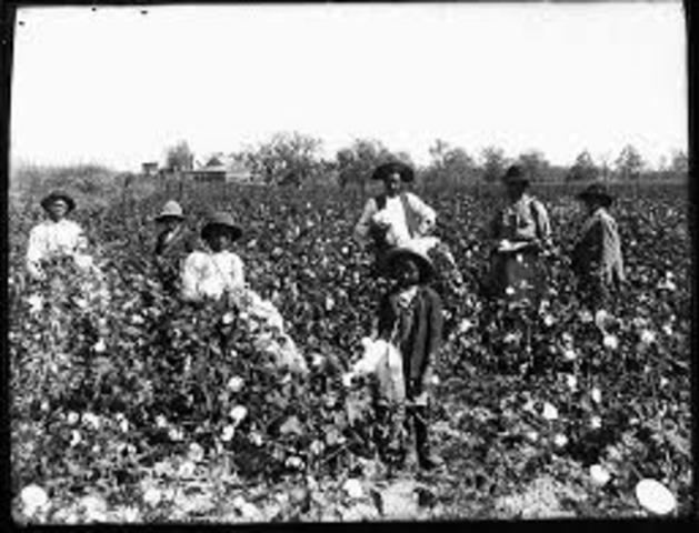 slaves start singing field songs while working