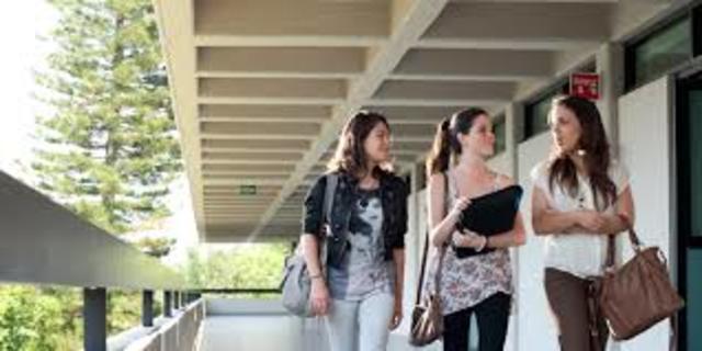 Qué conductas eran mejor valoradas en la Universidad