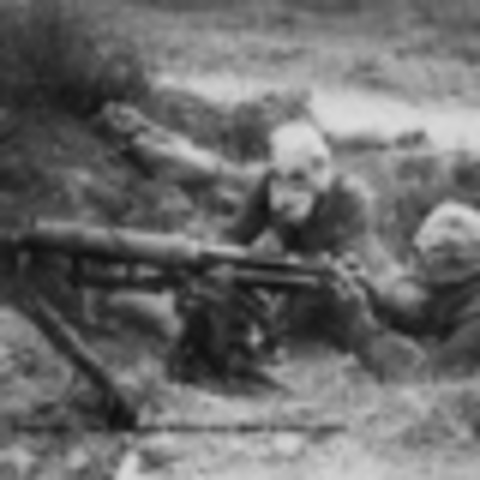 Hitler's surprise attack took place at dawn