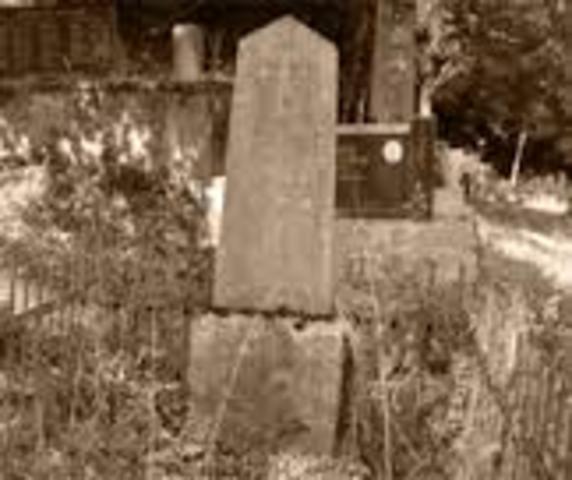 Death of Tesla's Brother