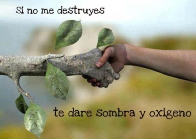 Relación del ser humano con la naturaleza