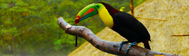 La publicación del Reglamento General de Establecimientos Oficiales de Educación