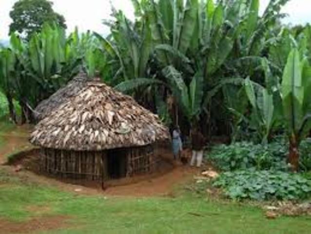 El hombre sedentario creó viviendas con hojas de árboles