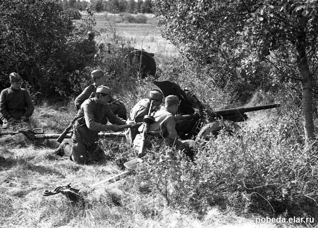 Освобождение города Брянска