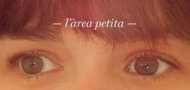 L'àrea Petita últim disc
