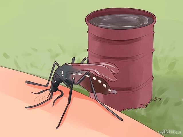 Prevención y control