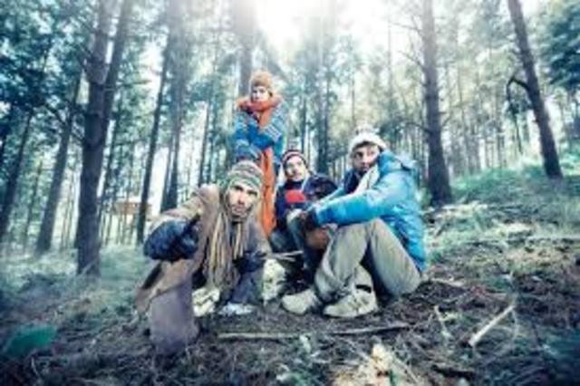 TENIM DRET A FER L'ANIMAL