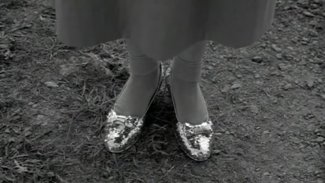 The Silver Shoes