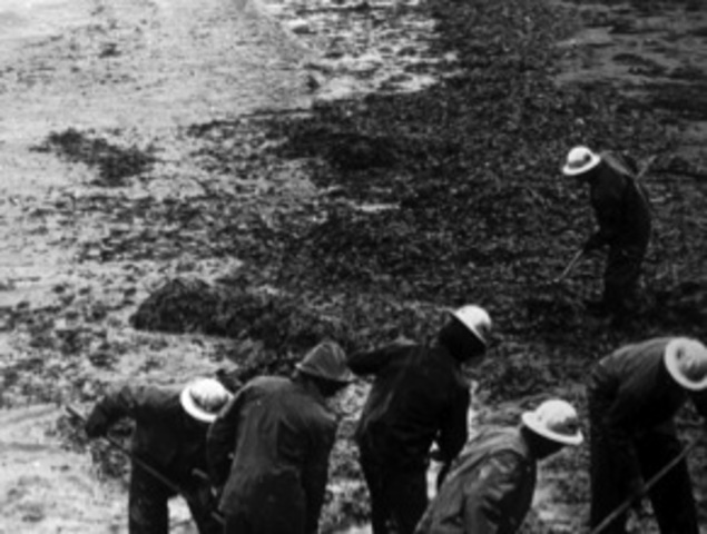 Santa Barbara oil spill