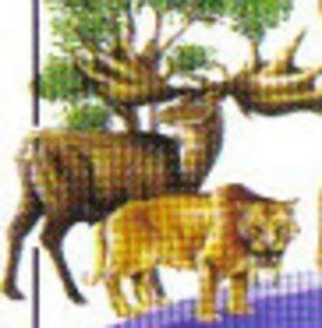 Aparecen los primeros mamíferos