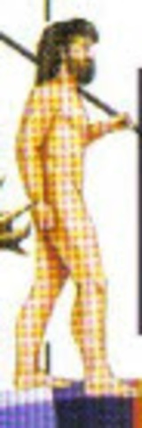 Aparecen los primeros homínidos