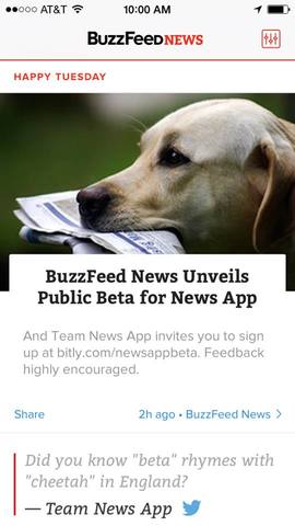 Buzzfeed News