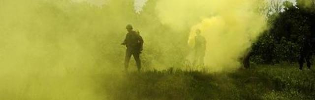 Hitler is blinded by mustard gas.