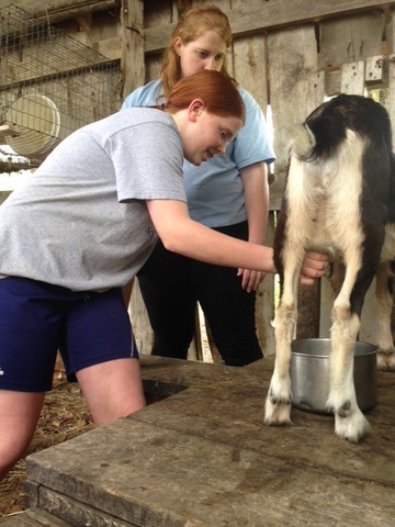 Heifer International