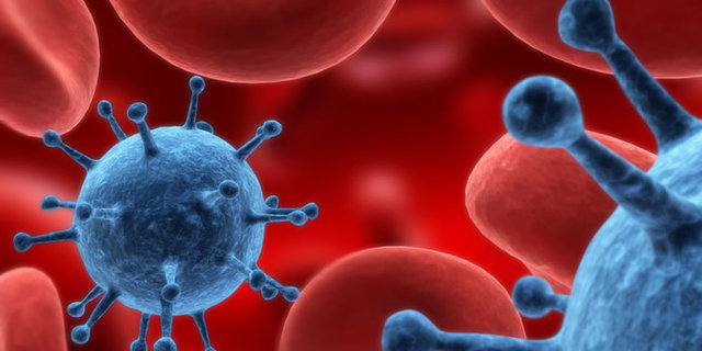 El primer caso en España