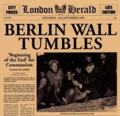 Berlin Wall collapses