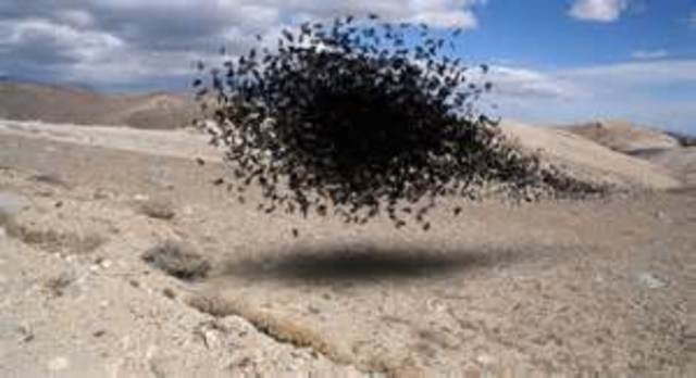 Jack foreman learns about the roague microagents (micro cameras)