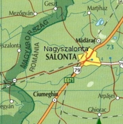 Nagyszalontán született