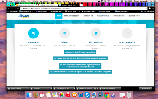 Asesora en línea para el Diplomado Aplicaciones de las TIC en la enseñanza