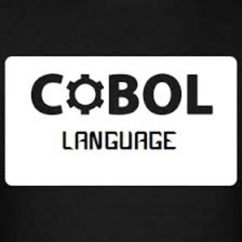 LENGUAJE COBOL
