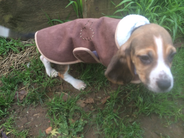 WIllow's first play outside