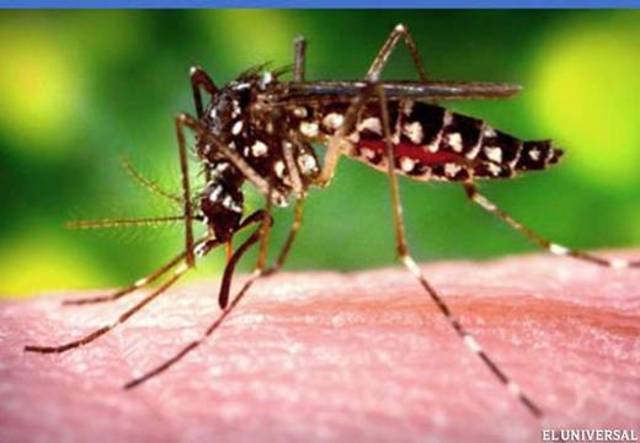 INICIO Y ORIGEN DEL VIRUS