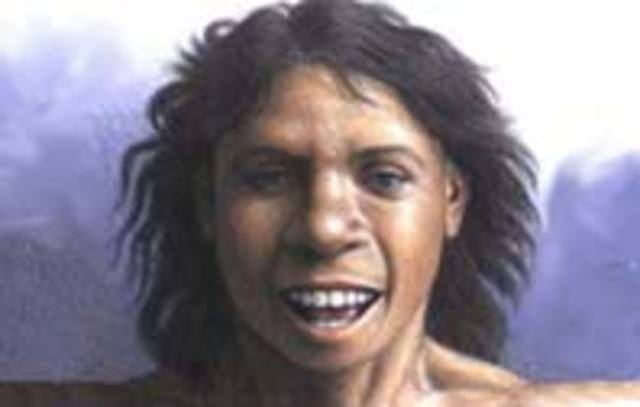 Homo antecessor