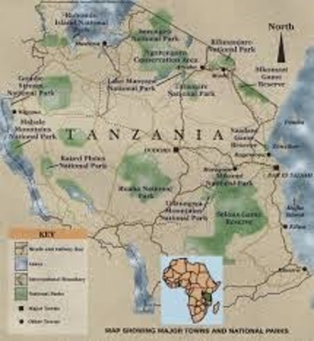 Origen de la epidemia del chikunguya