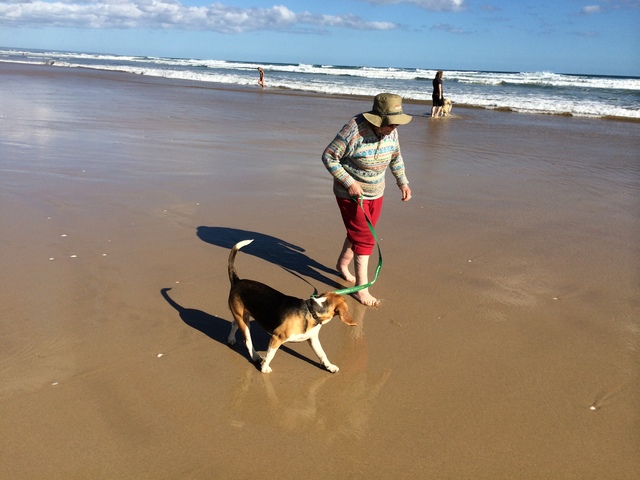 Willow's first holiday