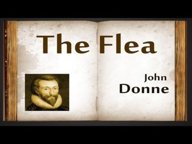 The Flea