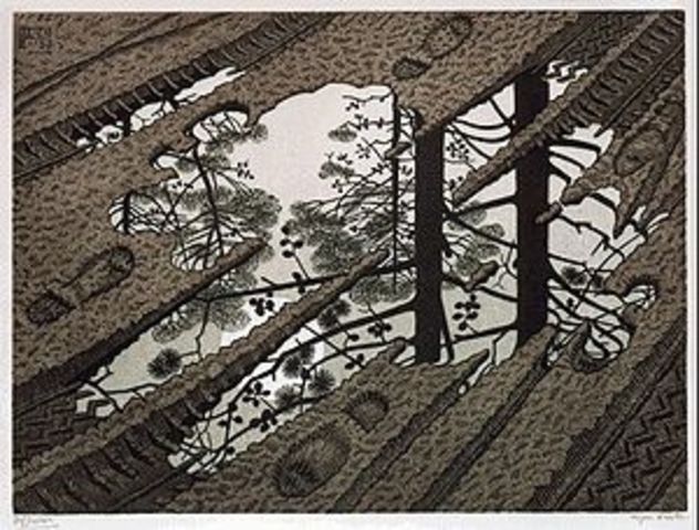"Puddle," M. C. Escher (Woodcut)