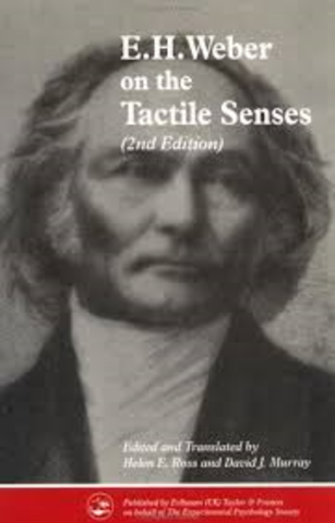 Ernst Heinrich Weber