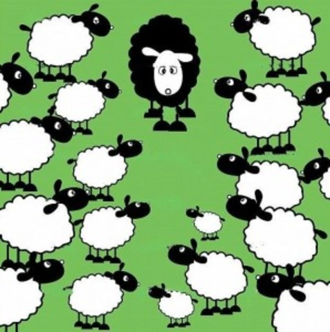 Experimentos de Conformidad con el Grupo de Asch **EJEMPLO