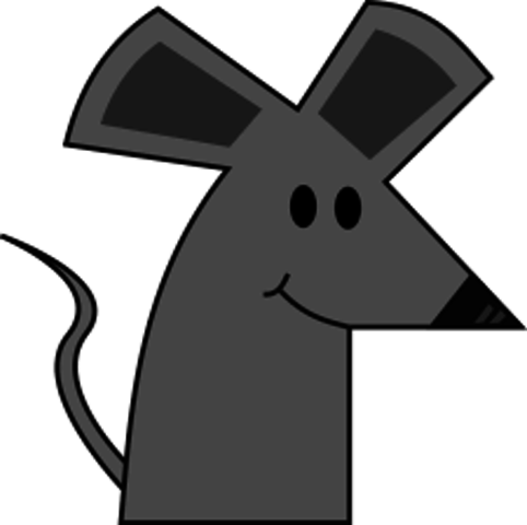 Madeline a joué avec une souris