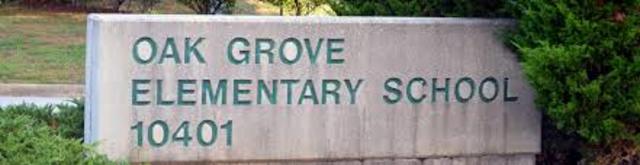 Started Elementary School