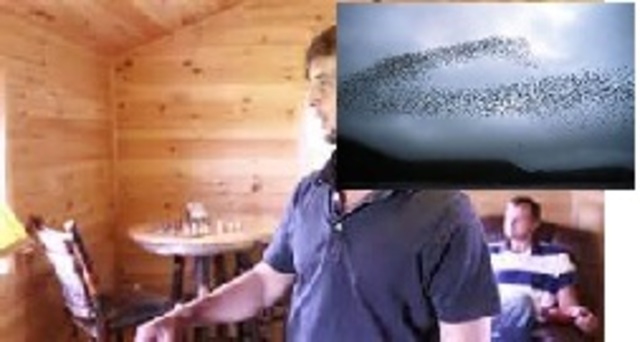 david  is killed by the swarm