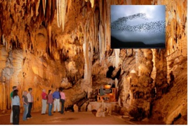 mae jack and bobby investigate the hole where the swarm hides at night