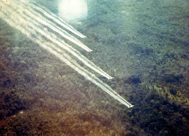 U.S. Employs Agent Orange
