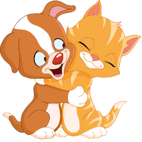 My Pets come into my family.