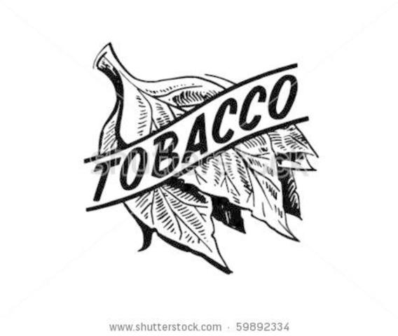 Tobacco: Colonial Cultivation Methods