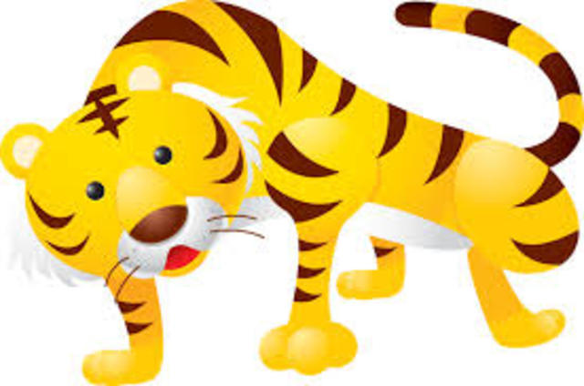 Elles ont regardé un tigre